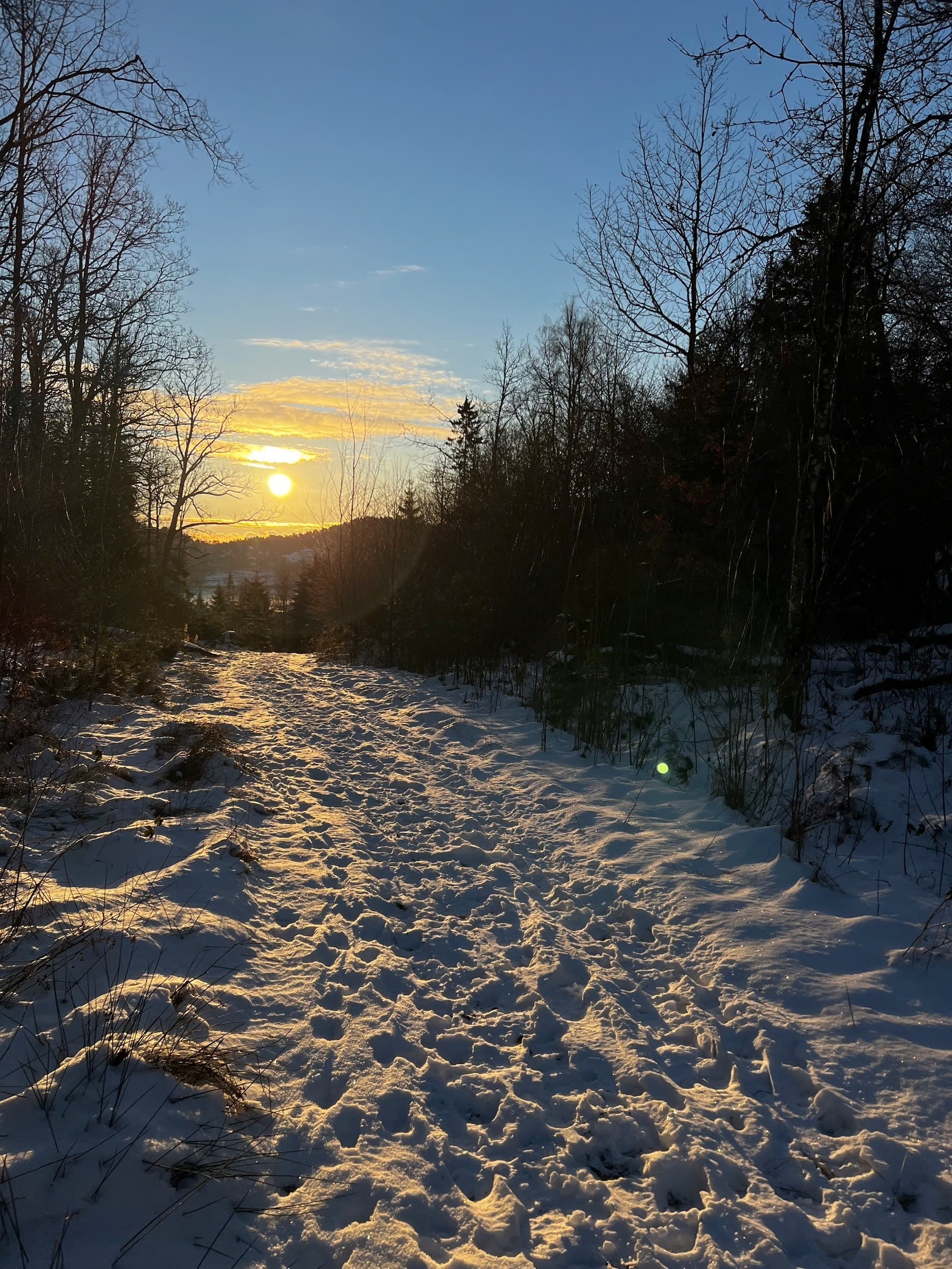 Nærområdet byr på flotte turmuligheter rett utenfor døren Galleribilde
