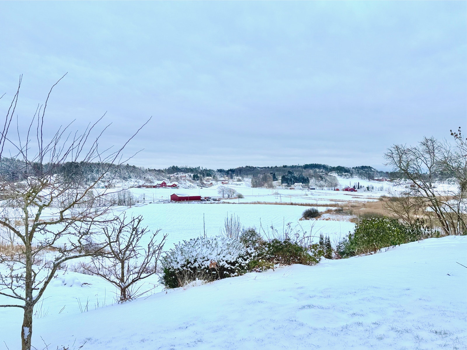 Ligger høyt med god utsikt over nærområdet Galleribilde