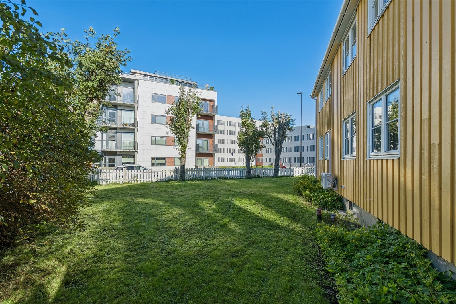 Romslig inngjerdet hage med div. beplantning Galleribilde