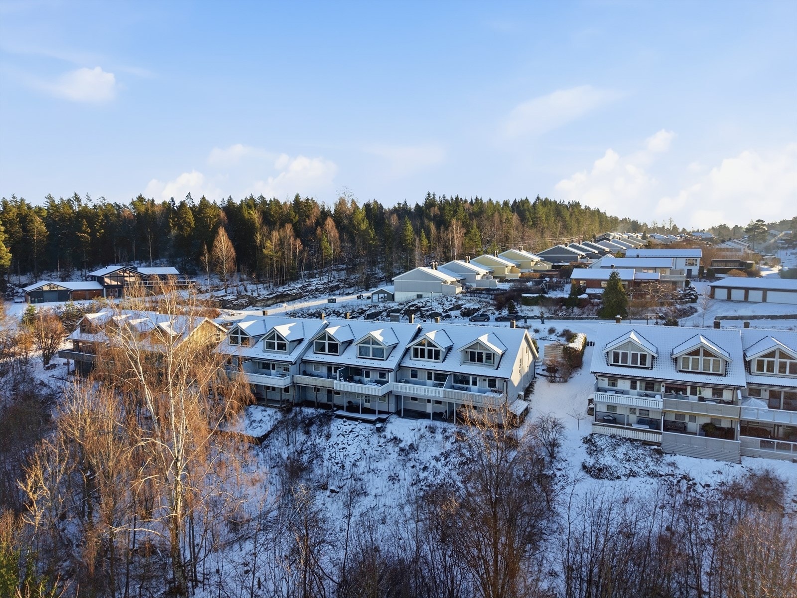 Umiddelbar nærhet til flotte turstier i Borgemarka Galleribilde