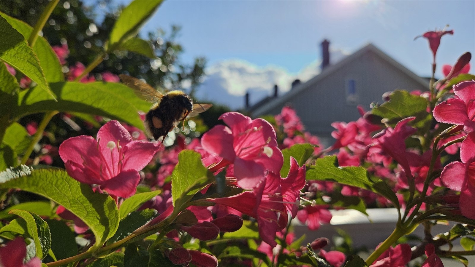 Stemningsbilde fra selger Galleribilde