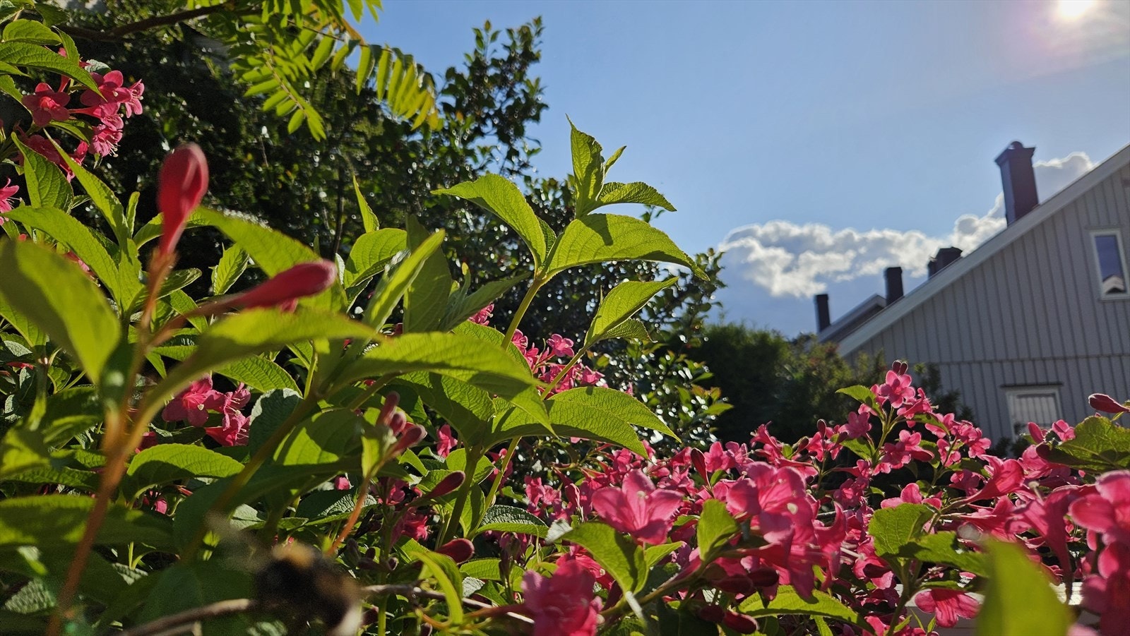 Stemningsbilde fra selger Galleribilde