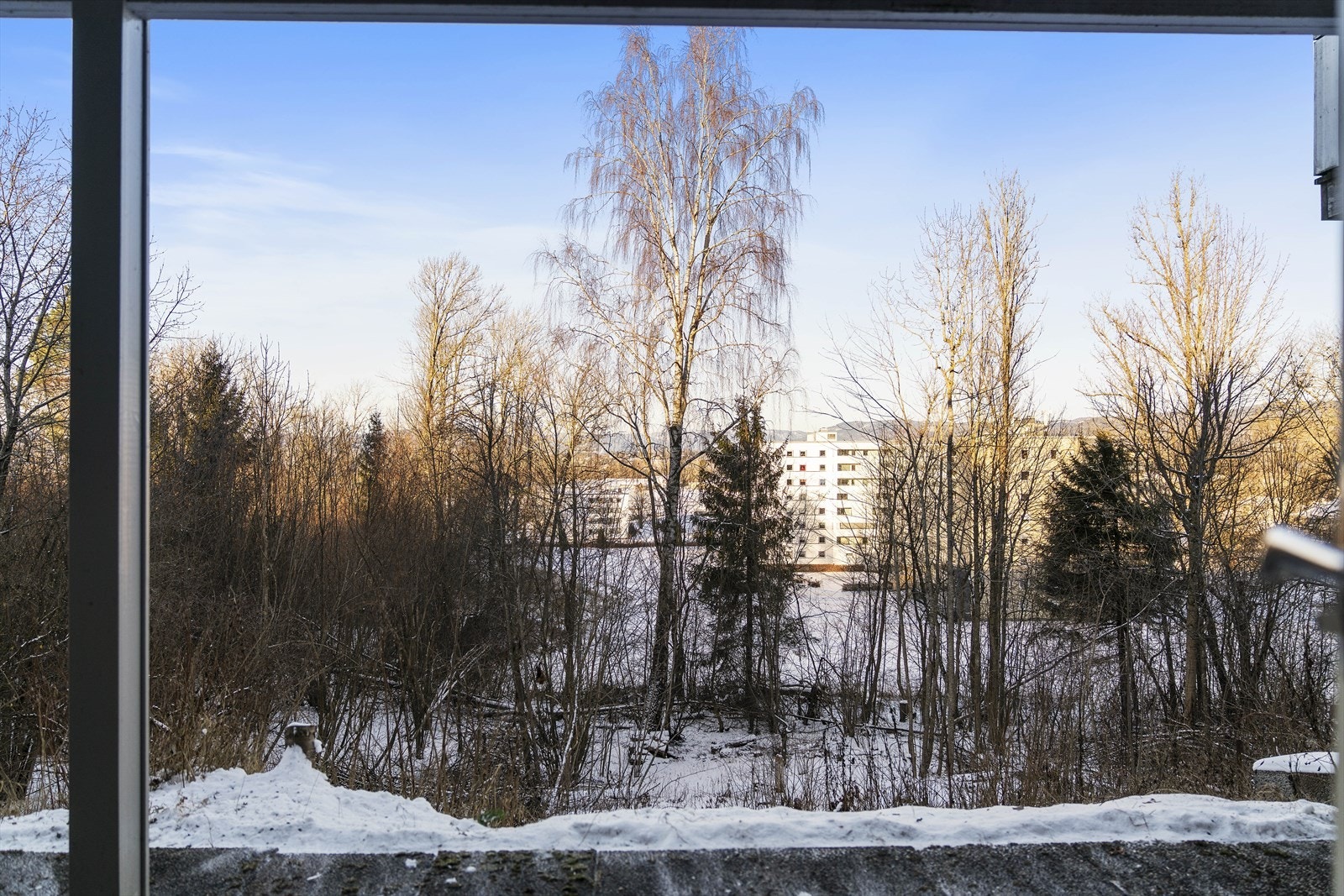 Utsikt fra bakkeplan Galleribilde