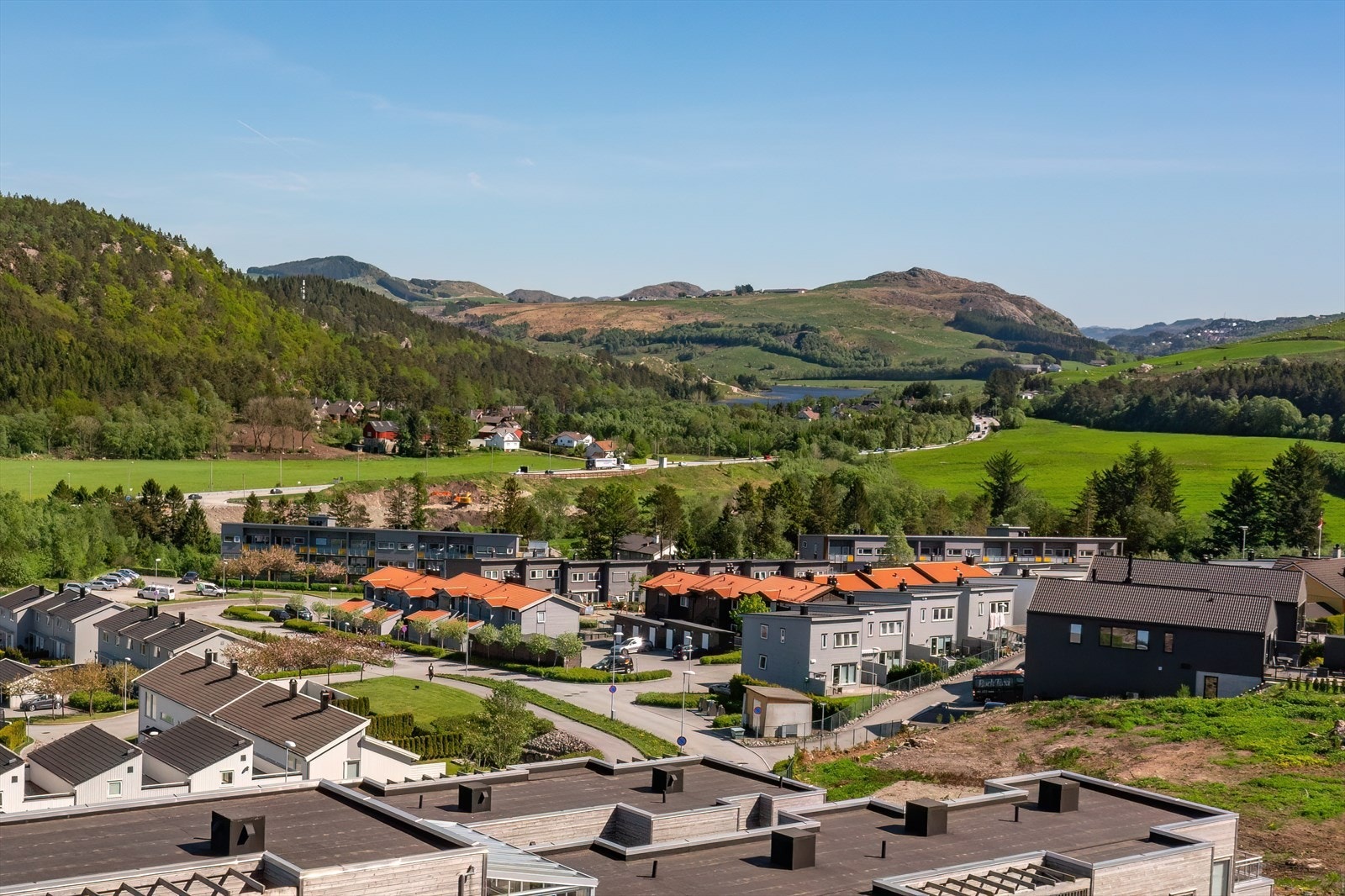 Nærområde Galleribilde