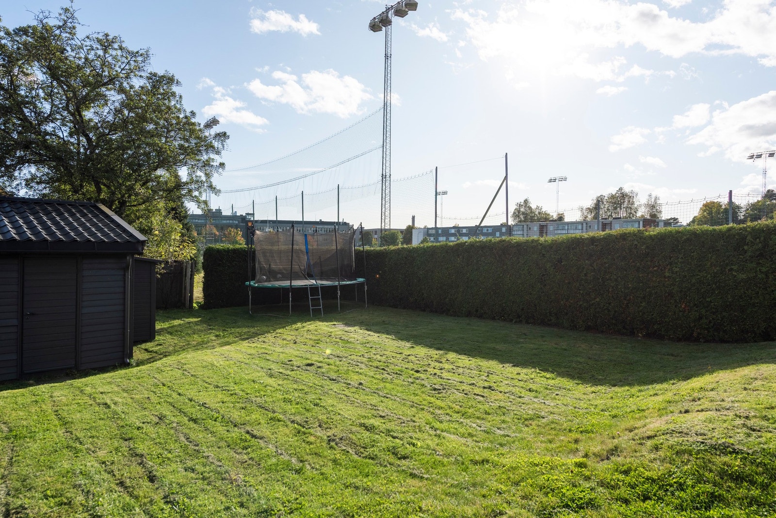 Felles hage Galleribilde