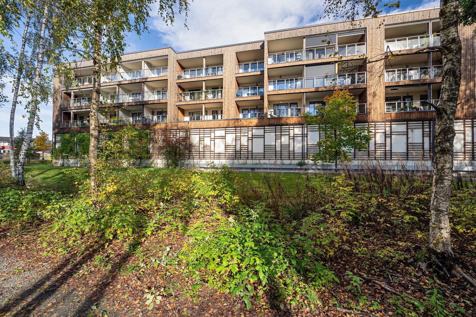 Velkommen til visning! Galleribilde