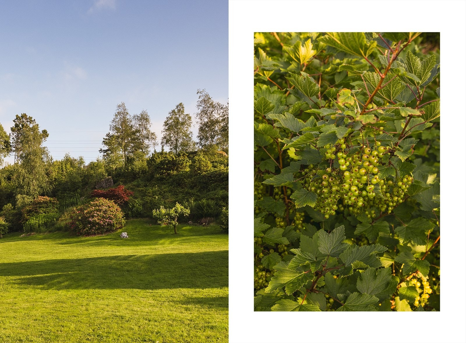 Skytterveien 10 ligger fredelig til i en blindvei høyt i terrenget over Ytre Sandviken. Her bor du skjermet for gjennomgangstrafikk, midt mellom fjord, fjell og flotte idrettsanlegg - alt innenfor behagelig gang- eller sykkelavstand. Galleribilde