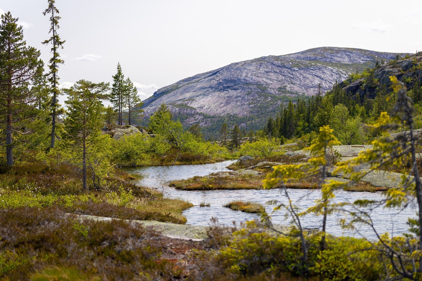 Fantastisk natur innover fjellet Galleribilde