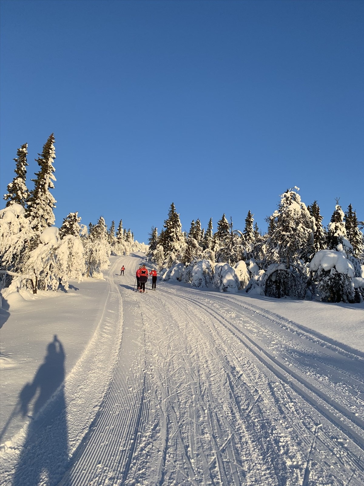 Fantastiske skiløyper i området Galleribilde