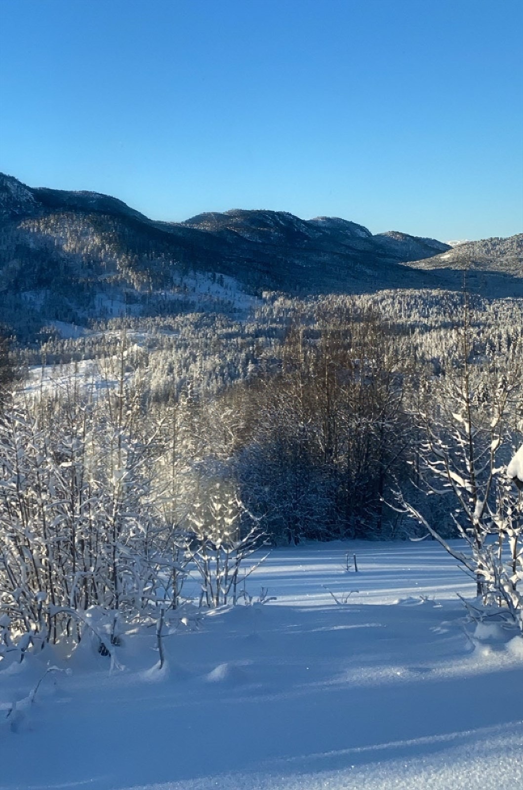 Private bilder - utsikt utover Numedalen vinter Galleribilde