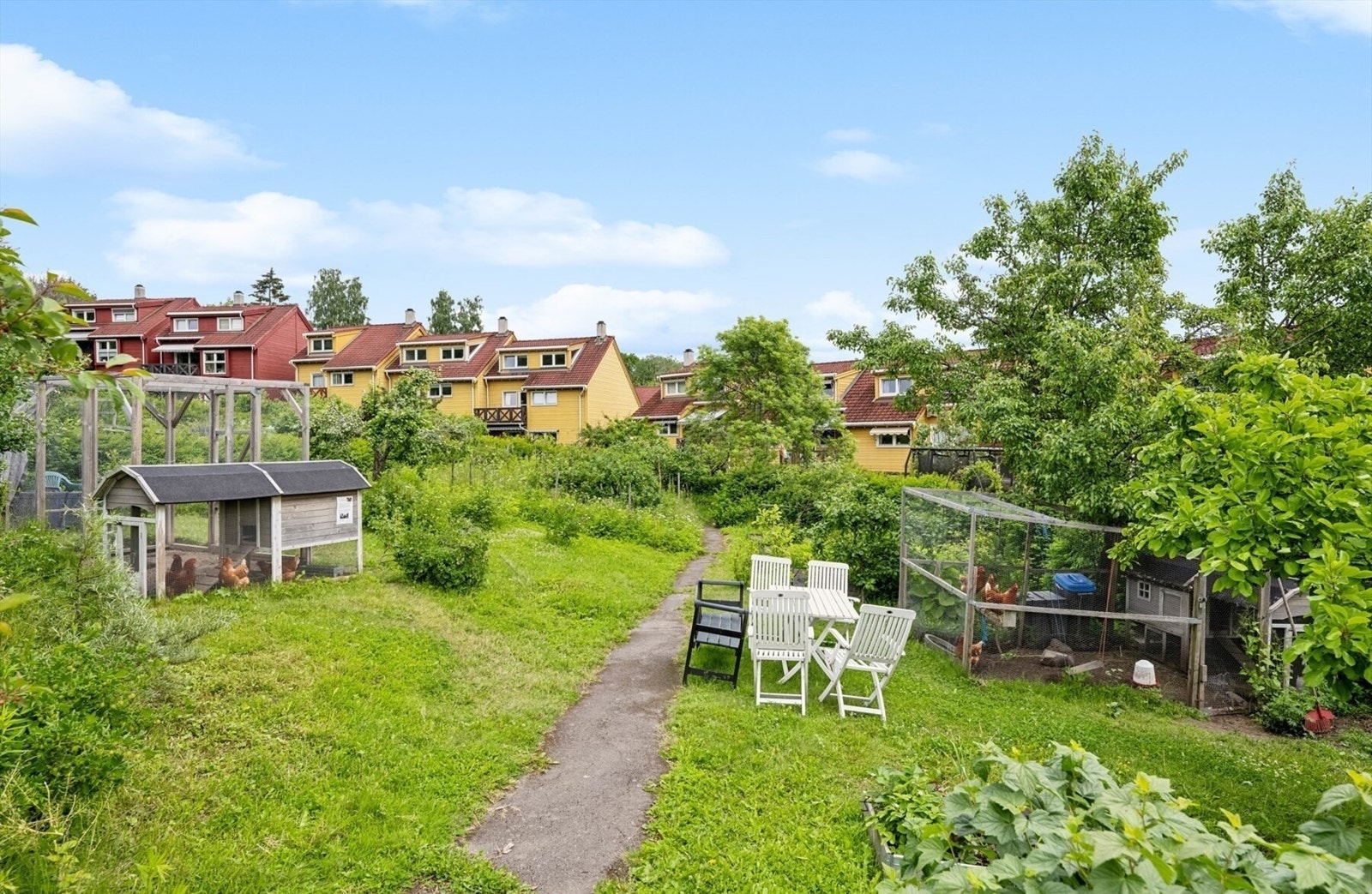Ved parsellhagene er det satt opp en hønsegård. Galleribilde
