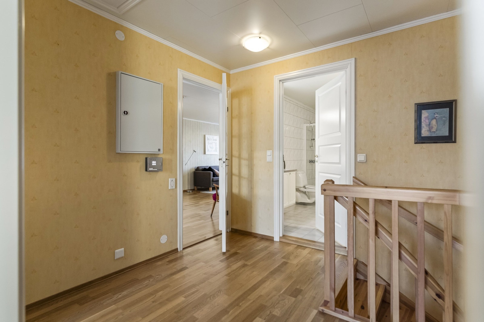 Trappegang Galleribilde