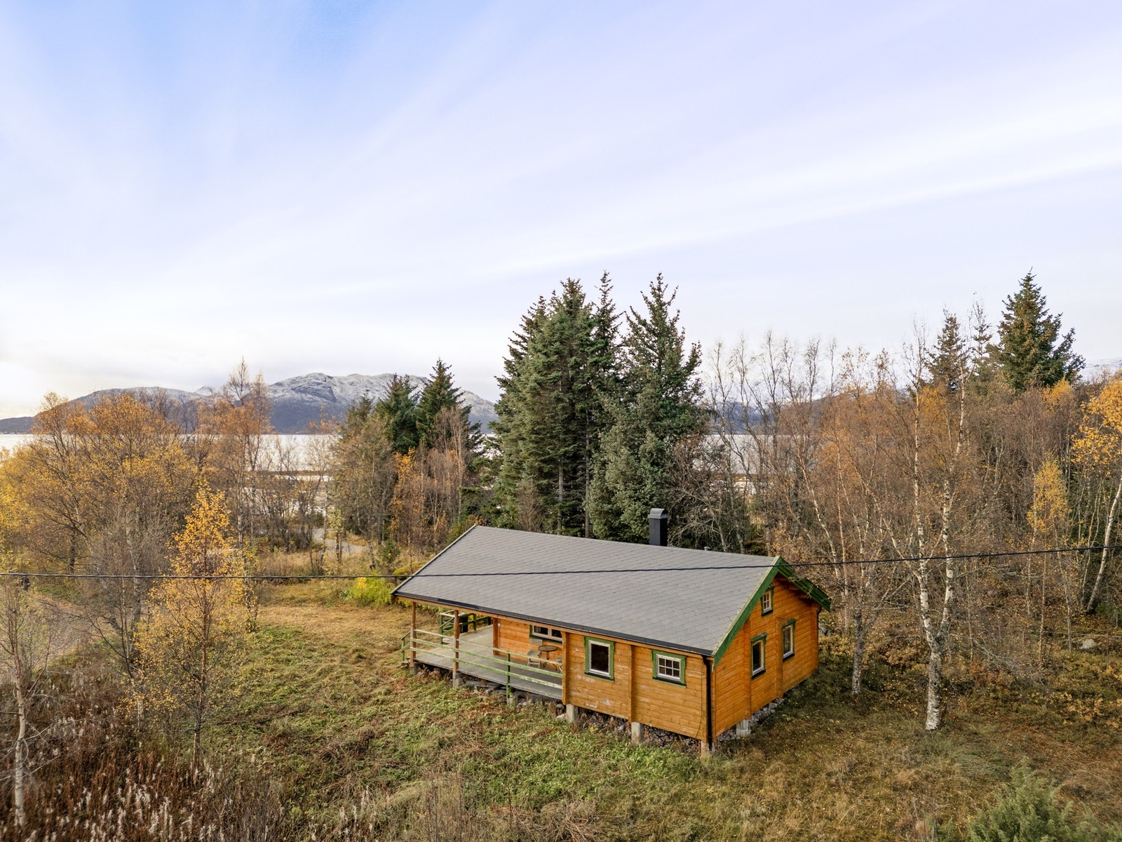 Trær og natur gjør eiendommen skjermet for innsyn Galleribilde