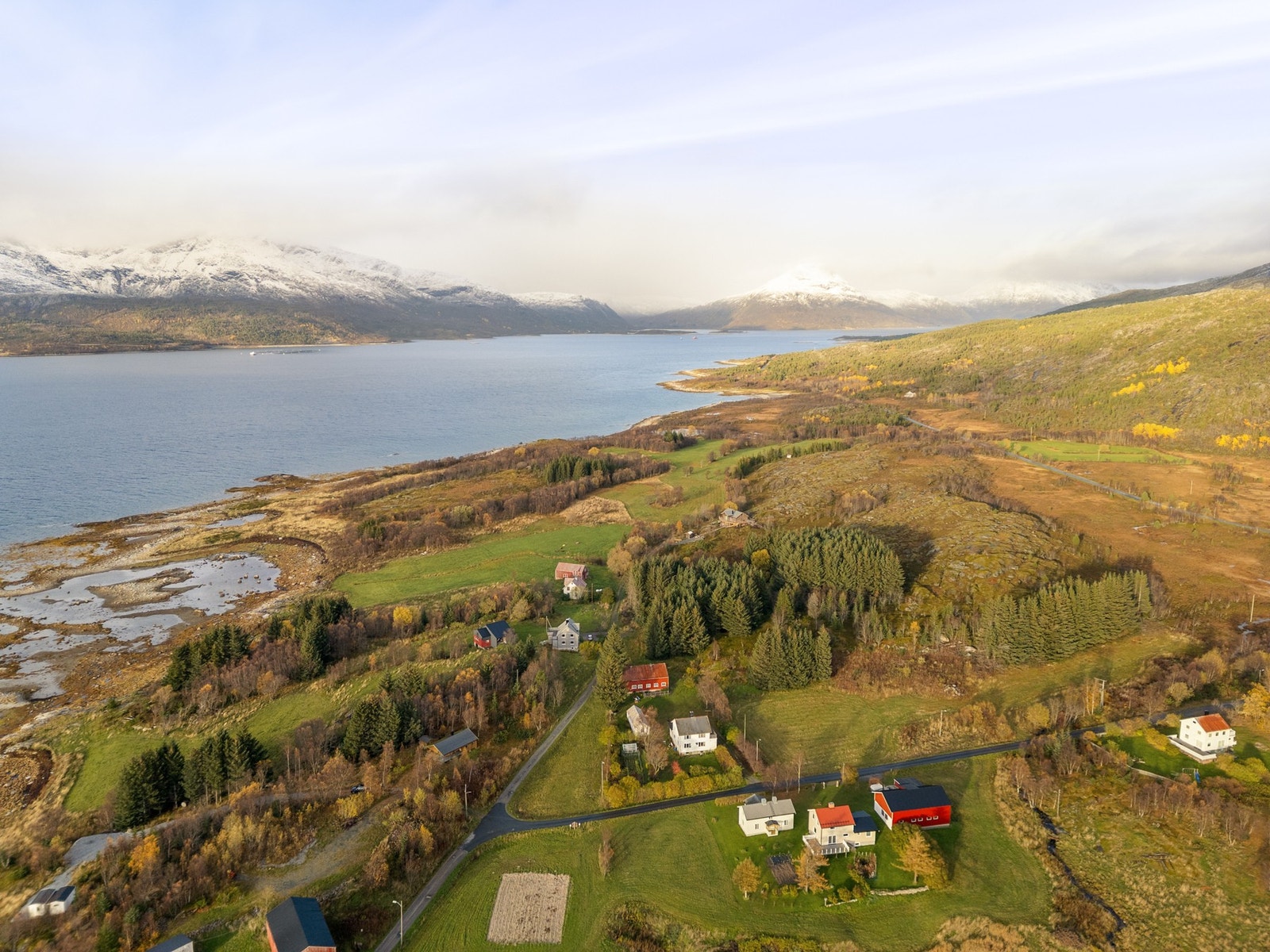 Velkommen til en trivelig visning! Galleribilde