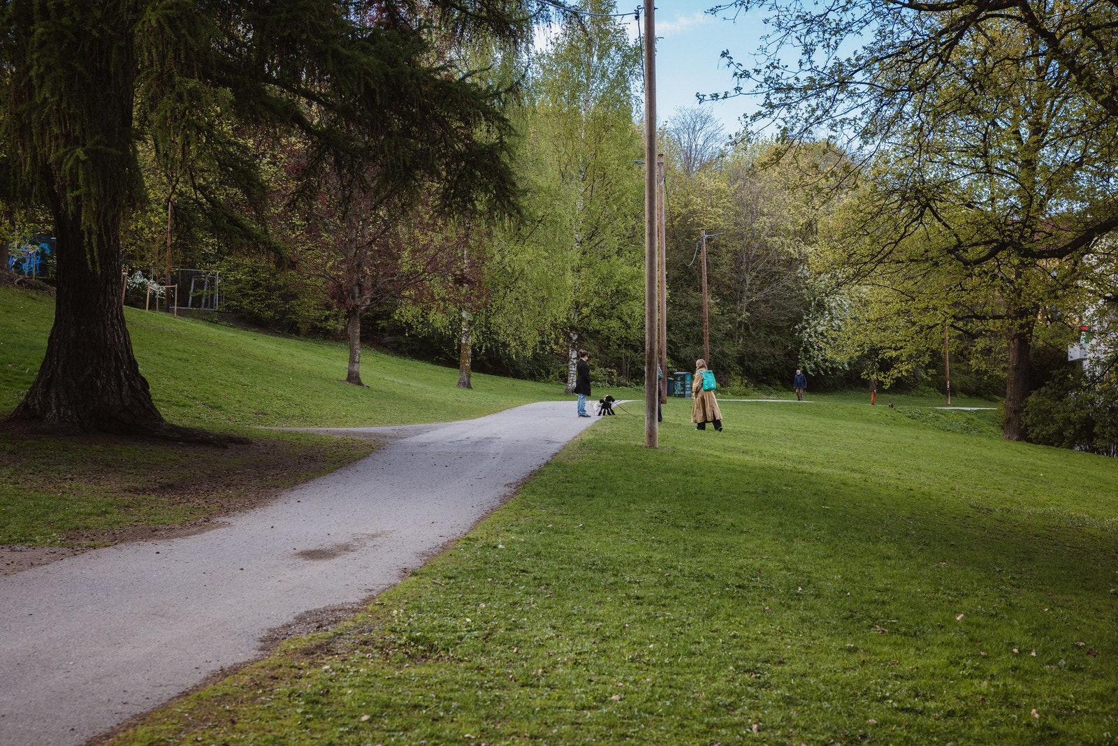 Flere gode turmuligheter i nærområdet. Galleribilde
