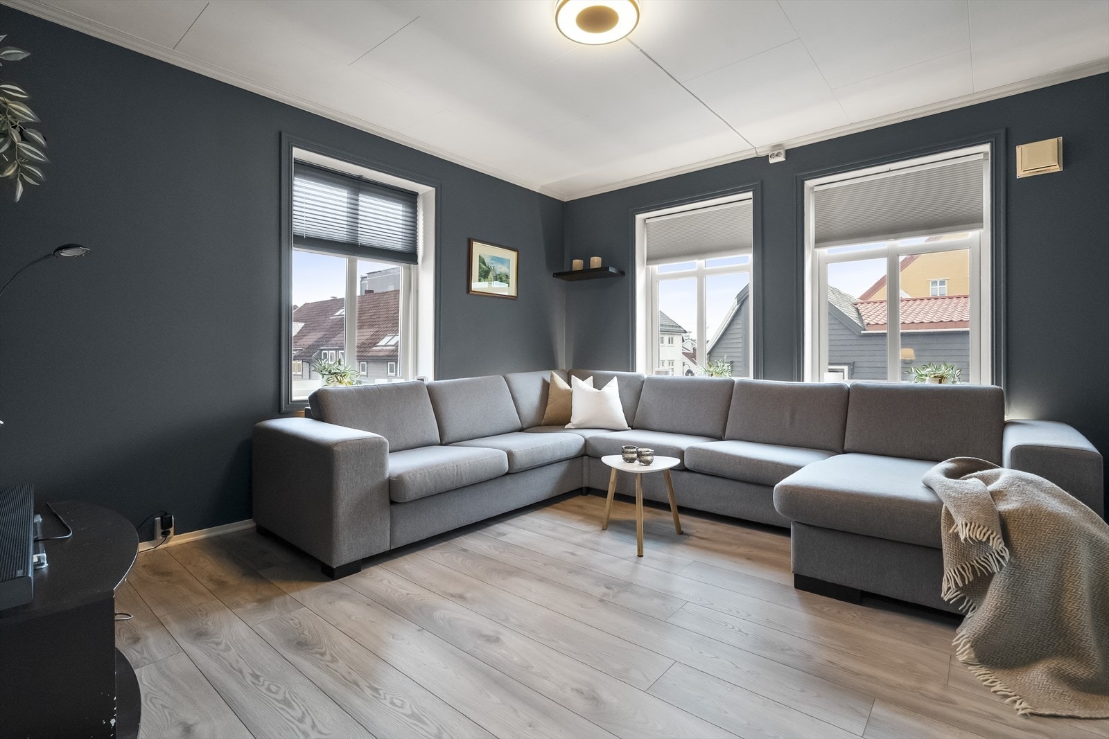 Stor og luftig stove Galleribilde