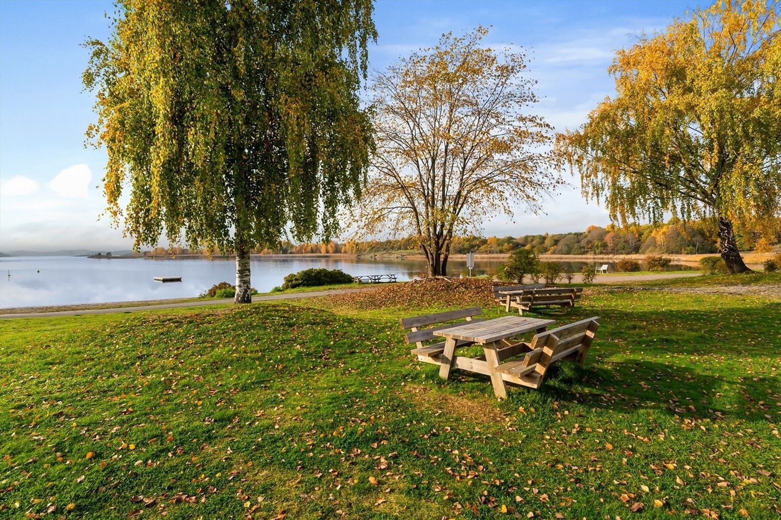 Nærområde - Koksabukta Galleribilde