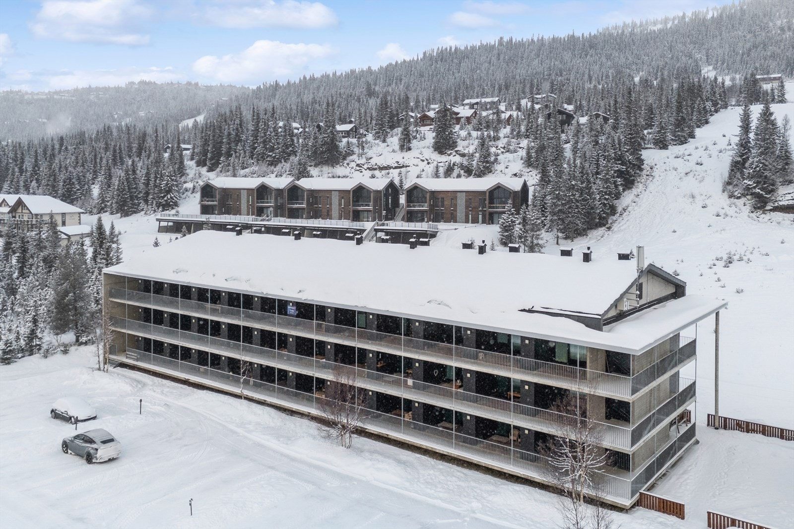 Seksjonseierne bidrar årlig til driften av Oleheisen, som sikrer enkel tilgang til fjellet. Galleribilde