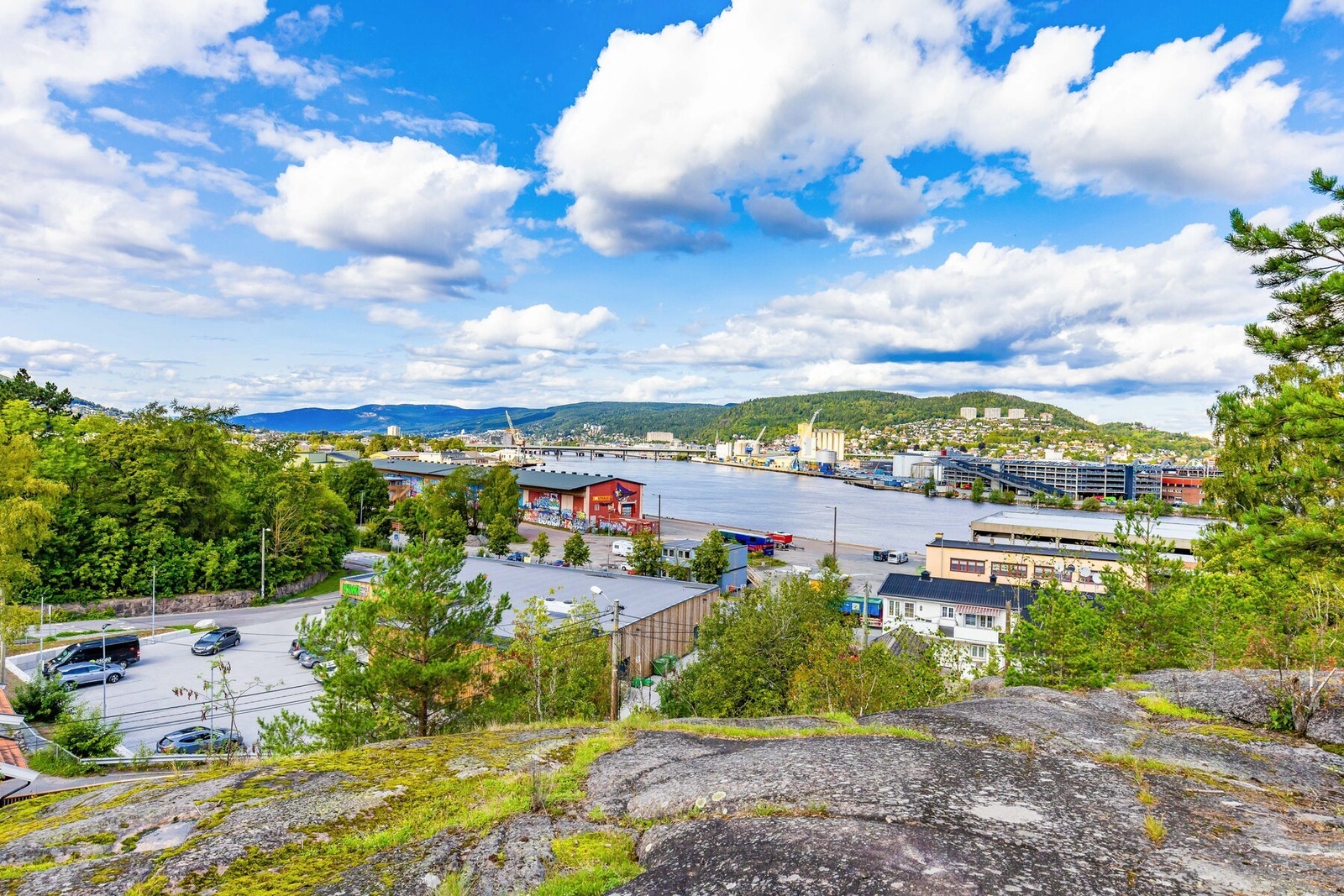 Nærområde om sommeren Galleribilde