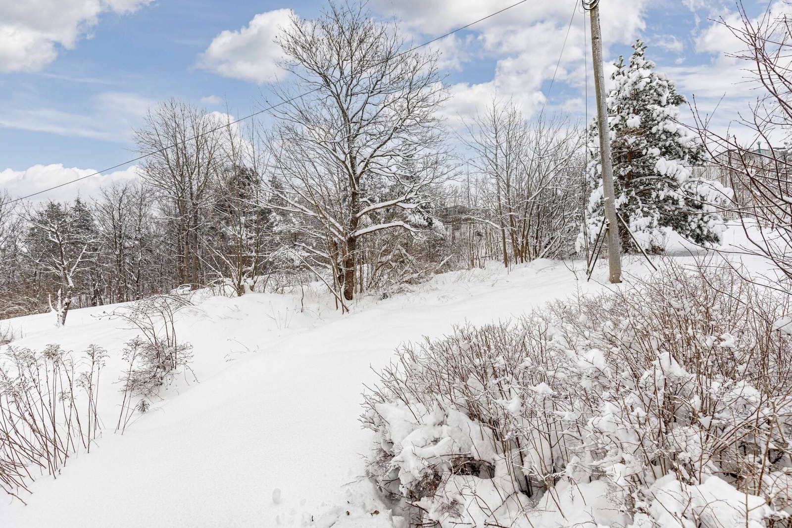 Offentlig grøntområde bak boligen som gir tomten en grønn, åpen og hyggelig ramme. Galleribilde