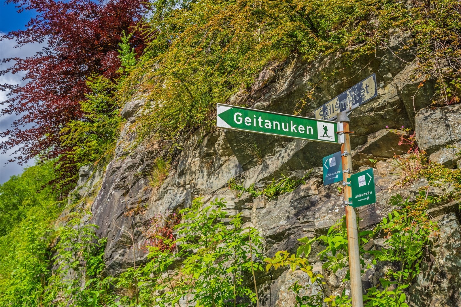 For den turglade finnes det flotte turmuligheter rett i nærheten, med fjelltopper som Toppenipa, Geitanuken, Høgstefjellet, Nordgardsfjellet og Salhusfjellet Galleribilde