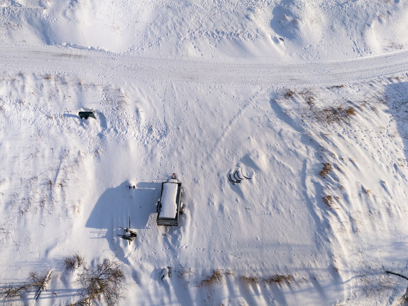 Legg merke til alle dyresporene som viser at du er tett på naturen Galleribilde