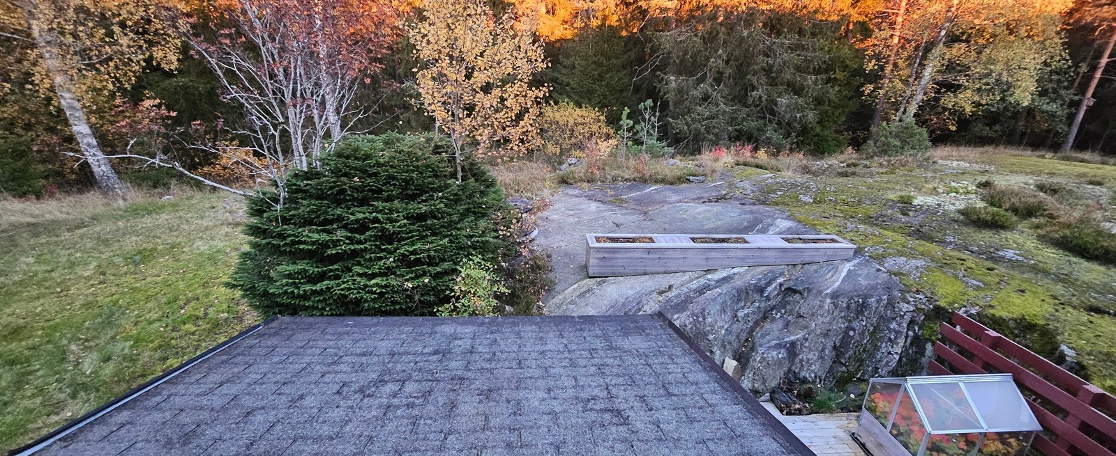 Selgers private bilder fra sommeren. Galleribilde