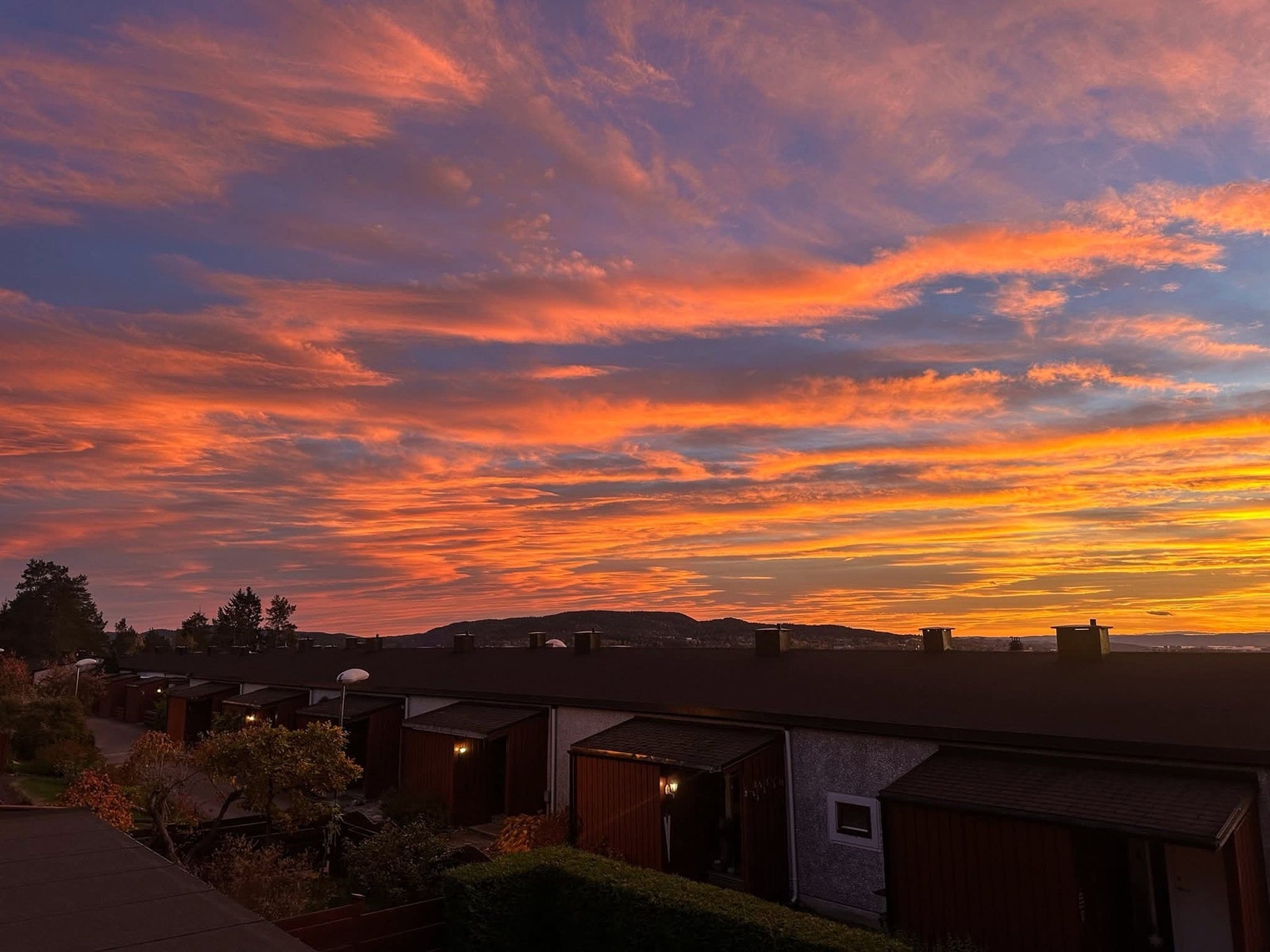 Selgers private bilder fra sommeren. Galleribilde