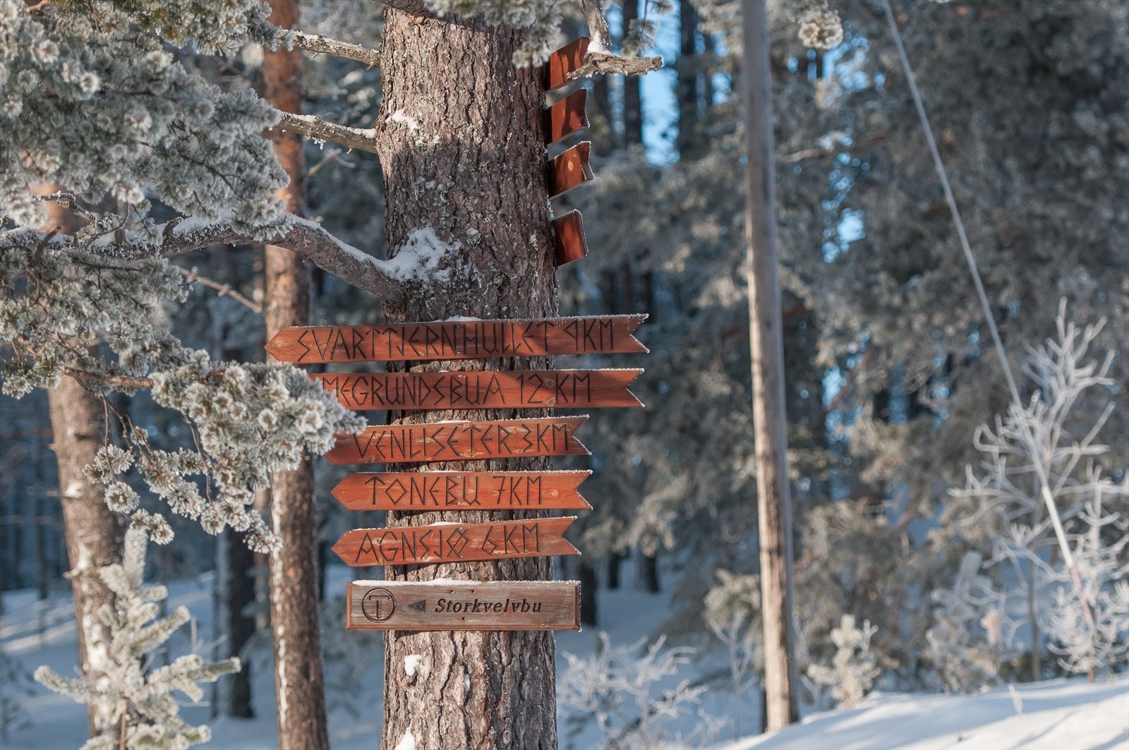 Det er flere merkede turstier i nærområdet Galleribilde