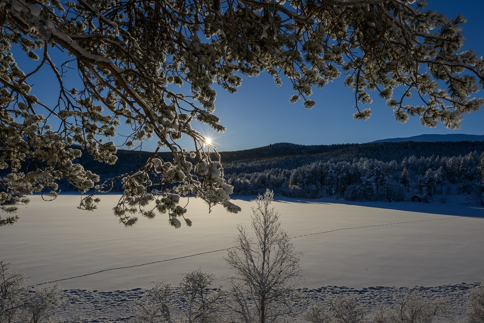 Hytta ligger i et meget naturskjønt område Galleribilde