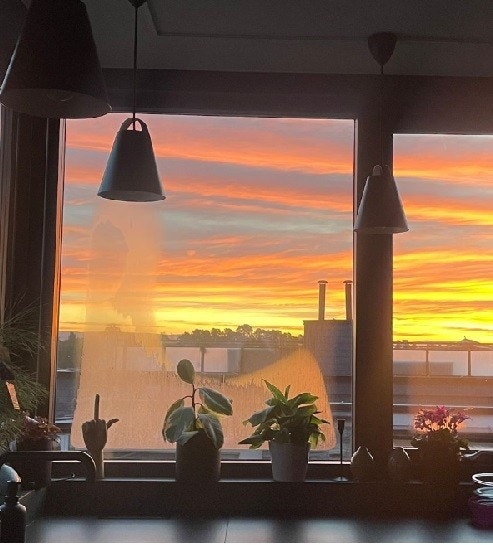 Privat bilde. Flott utsikt med fine soloppganger fra kjøkkenet og solnedganger fra motsatt side Galleribilde