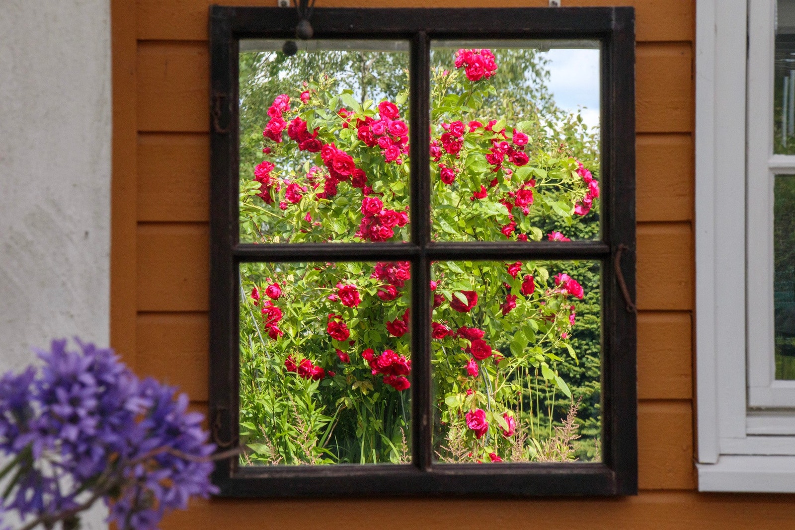 Detalj fra uteplassen mot hagen. Galleribilde
