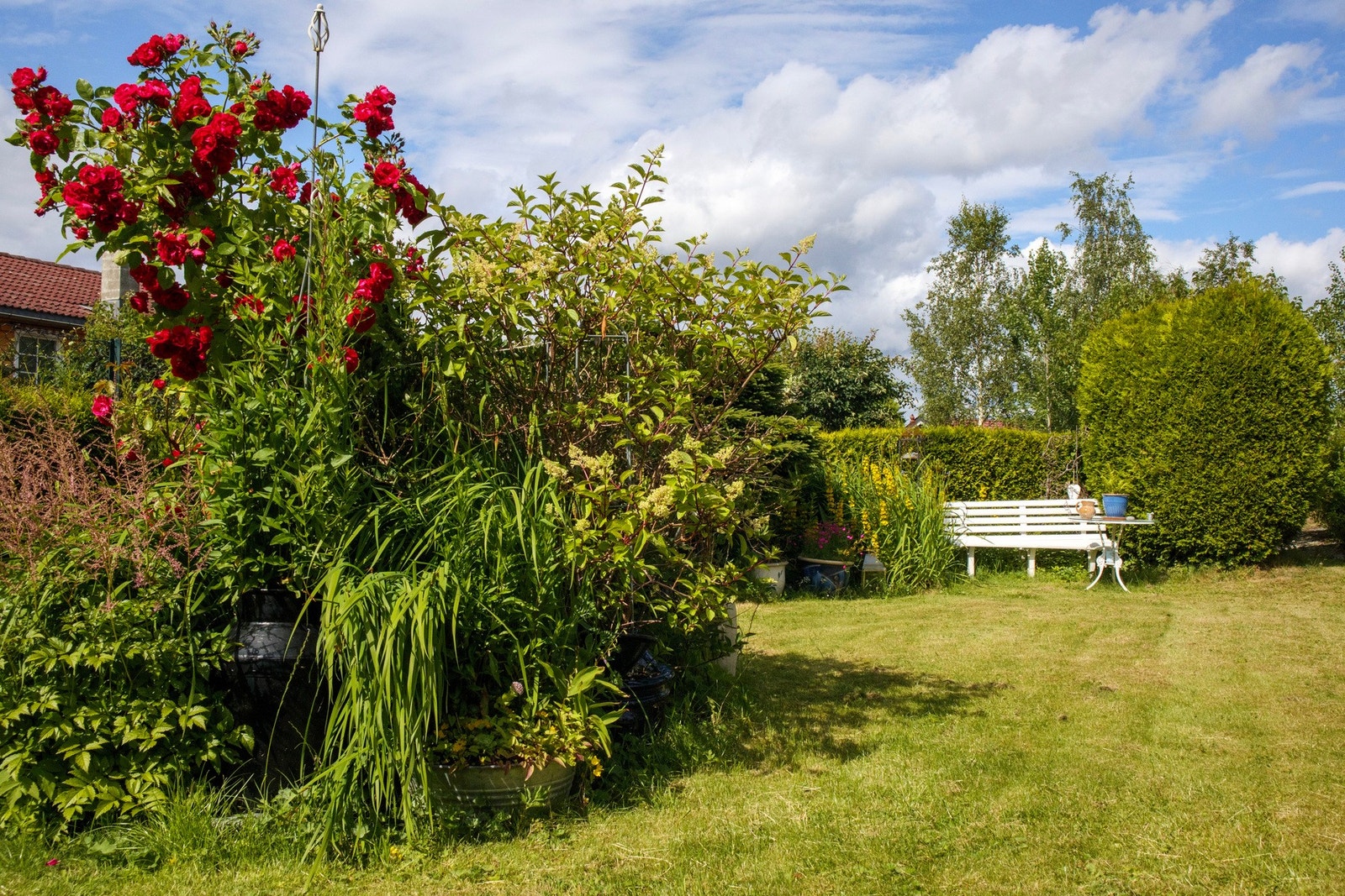 Flott og skjermet hage. Galleribilde