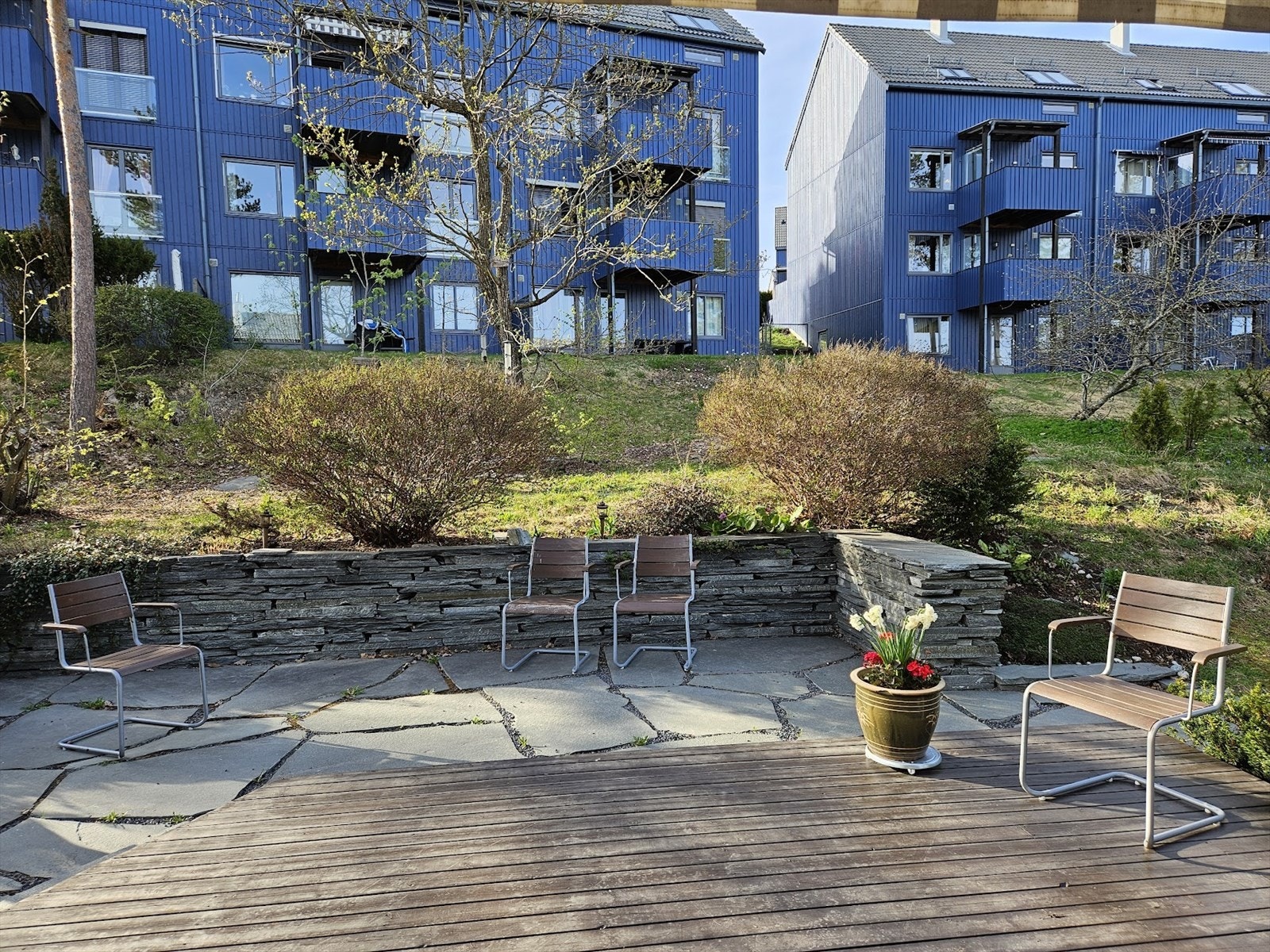 Privat sommerbilde Galleribilde