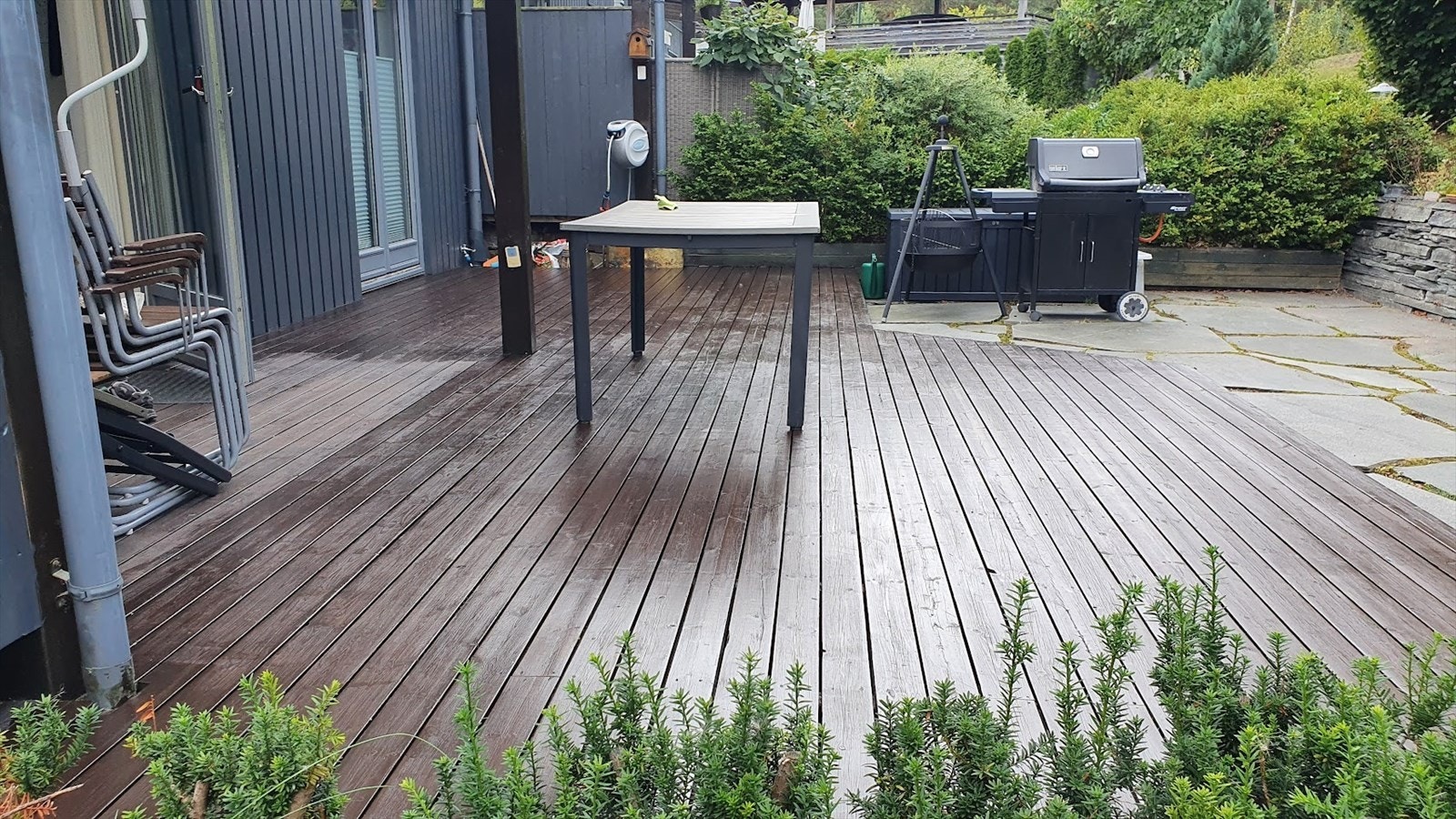 Privat sommerbilde Galleribilde