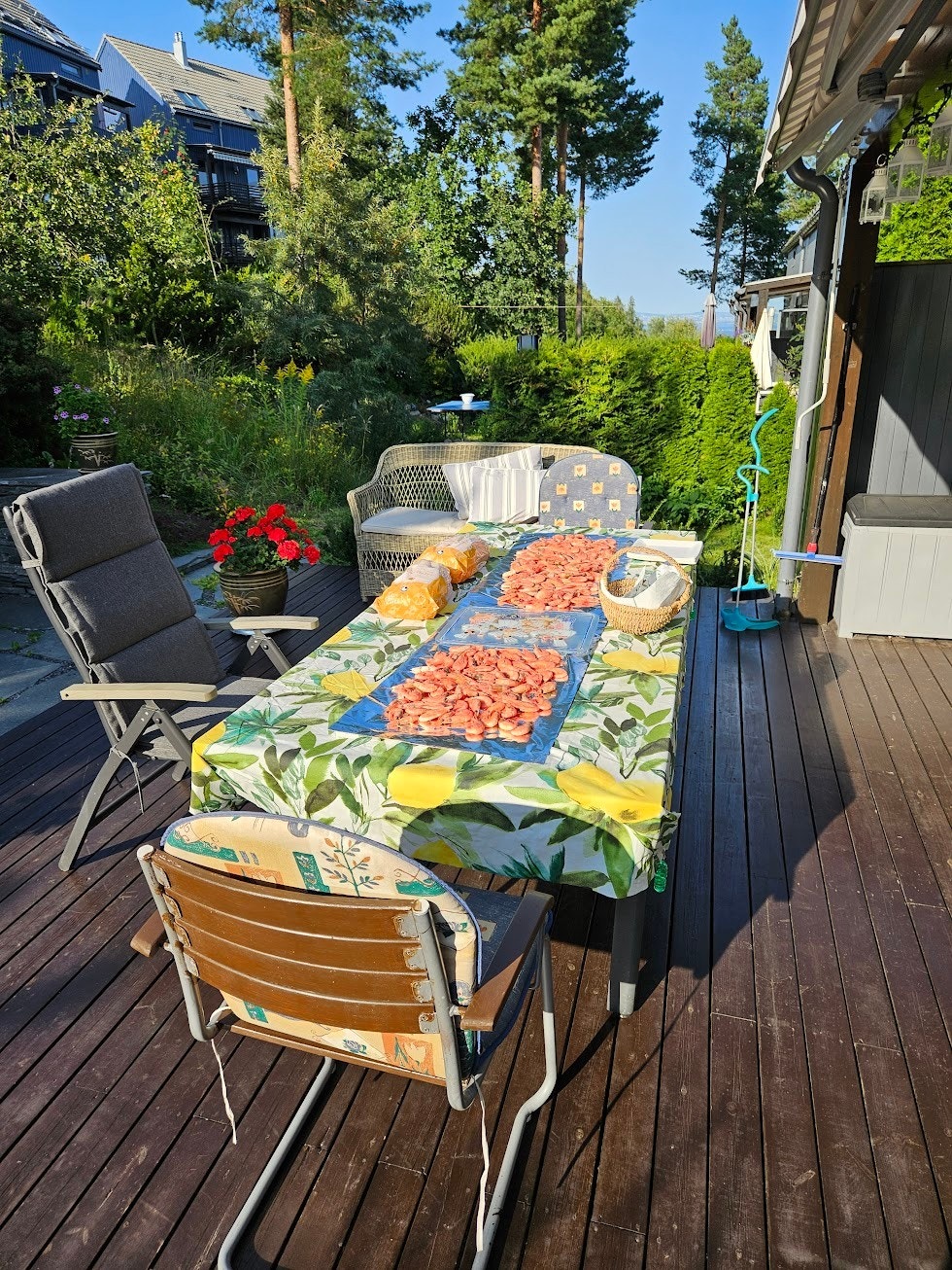 Privat sommerbilde Galleribilde