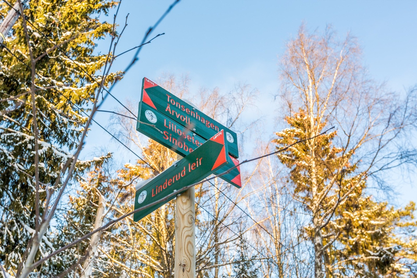Bosetter du deg her, får du en rolig og tilbaketrukket beliggenhet med marka som nærmeste nabo Galleribilde