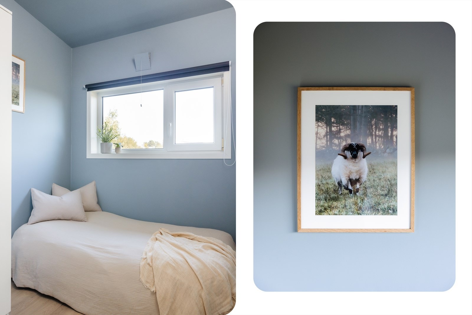 Tidsriktige farger komplementeres av det naturlige lyset Galleribilde