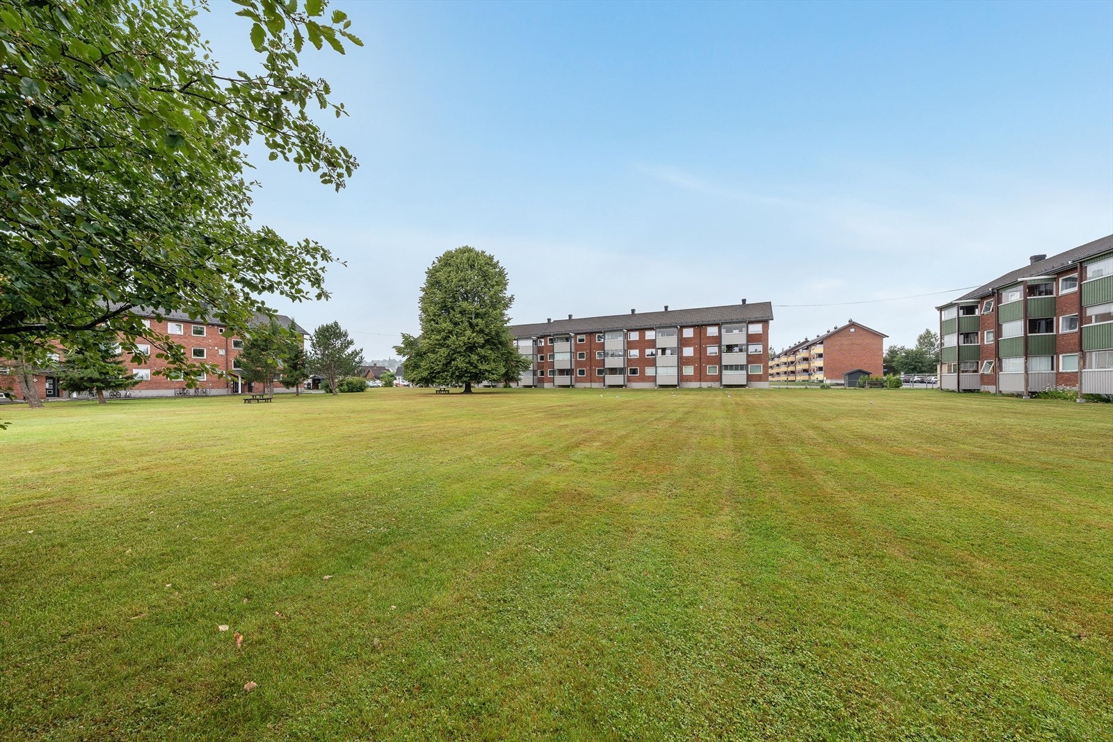 Borettslagets tomt er pent opparbeidet med store felles grøntarealer og trær. Galleribilde