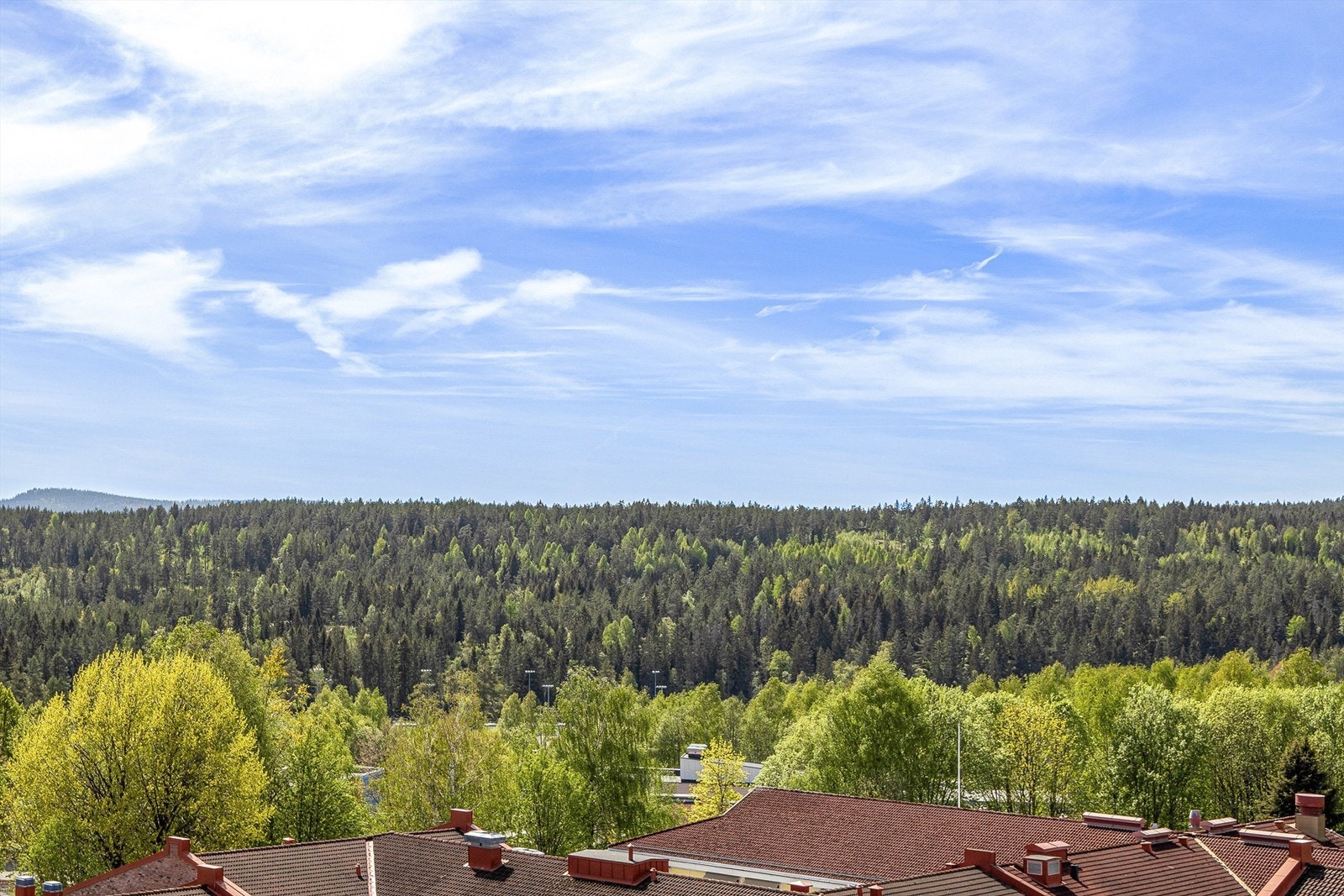 Utsikt fra felles takterrasse Galleribilde