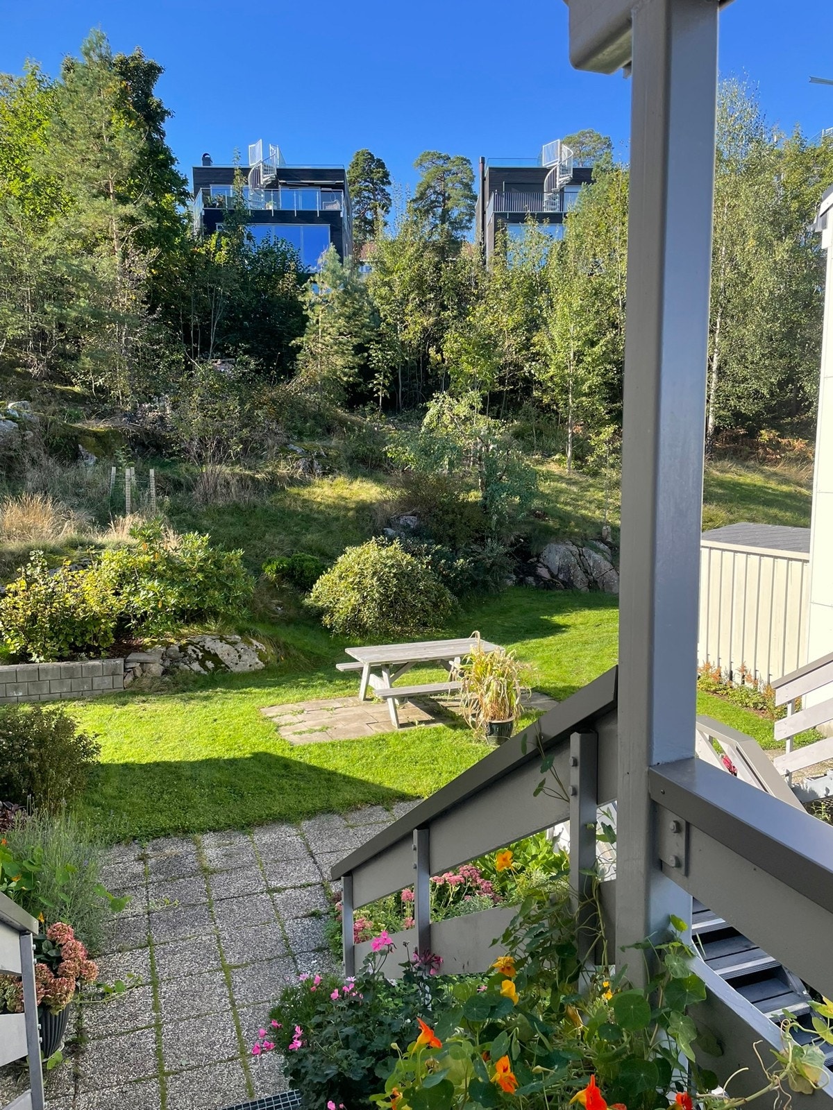 Grønt og fint i nærområdet Galleribilde