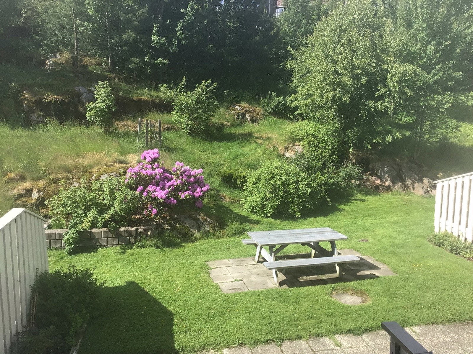 Hyggelig felles uteplass Galleribilde