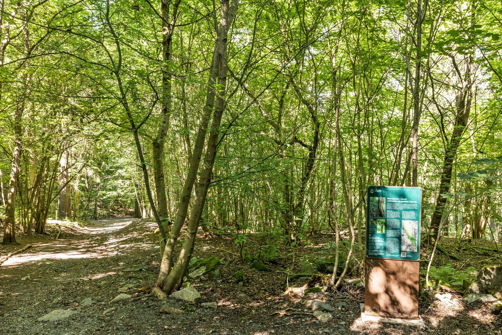 Boligen har umiddelbar nærhet til Mærradalen og Husebyskogen som byr på flotte turmuligheter og grønn natur. Galleribilde