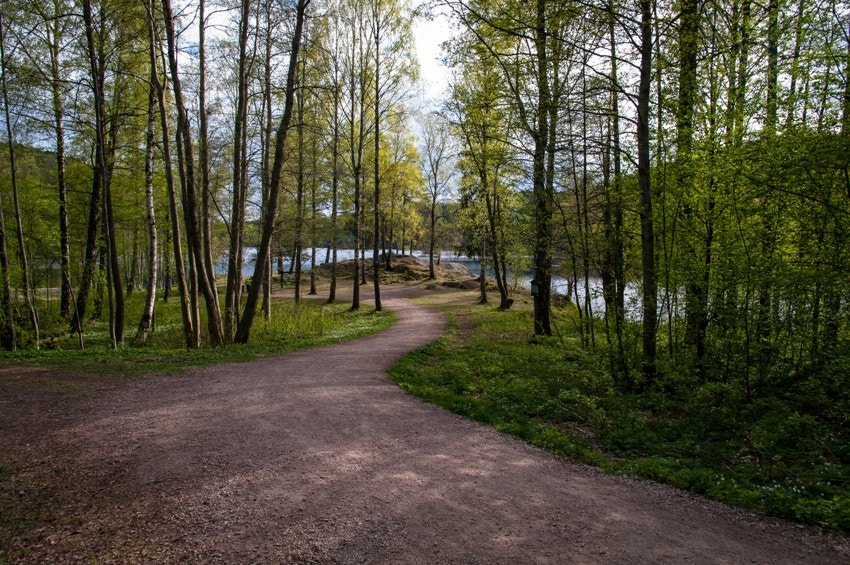 Skal du ut på tur, er det kort vei til flotte turveier inn mot Lutvann Galleribilde
