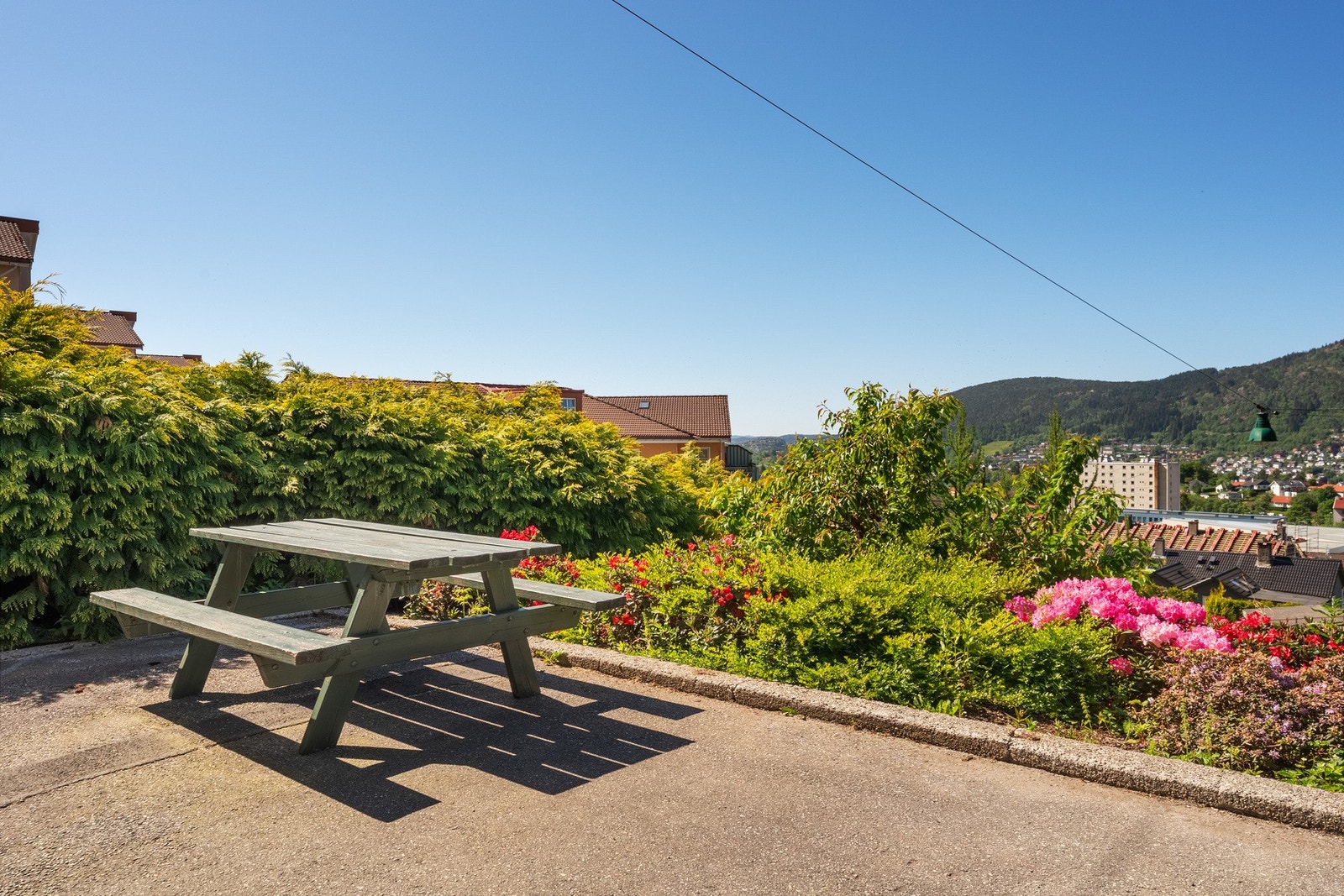 - Velkommen til visning - Galleribilde