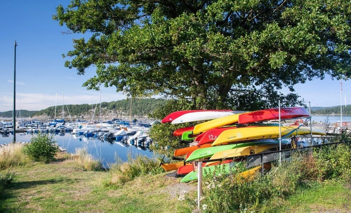 Det er kajakkutleie på sommeren her. Galleribilde