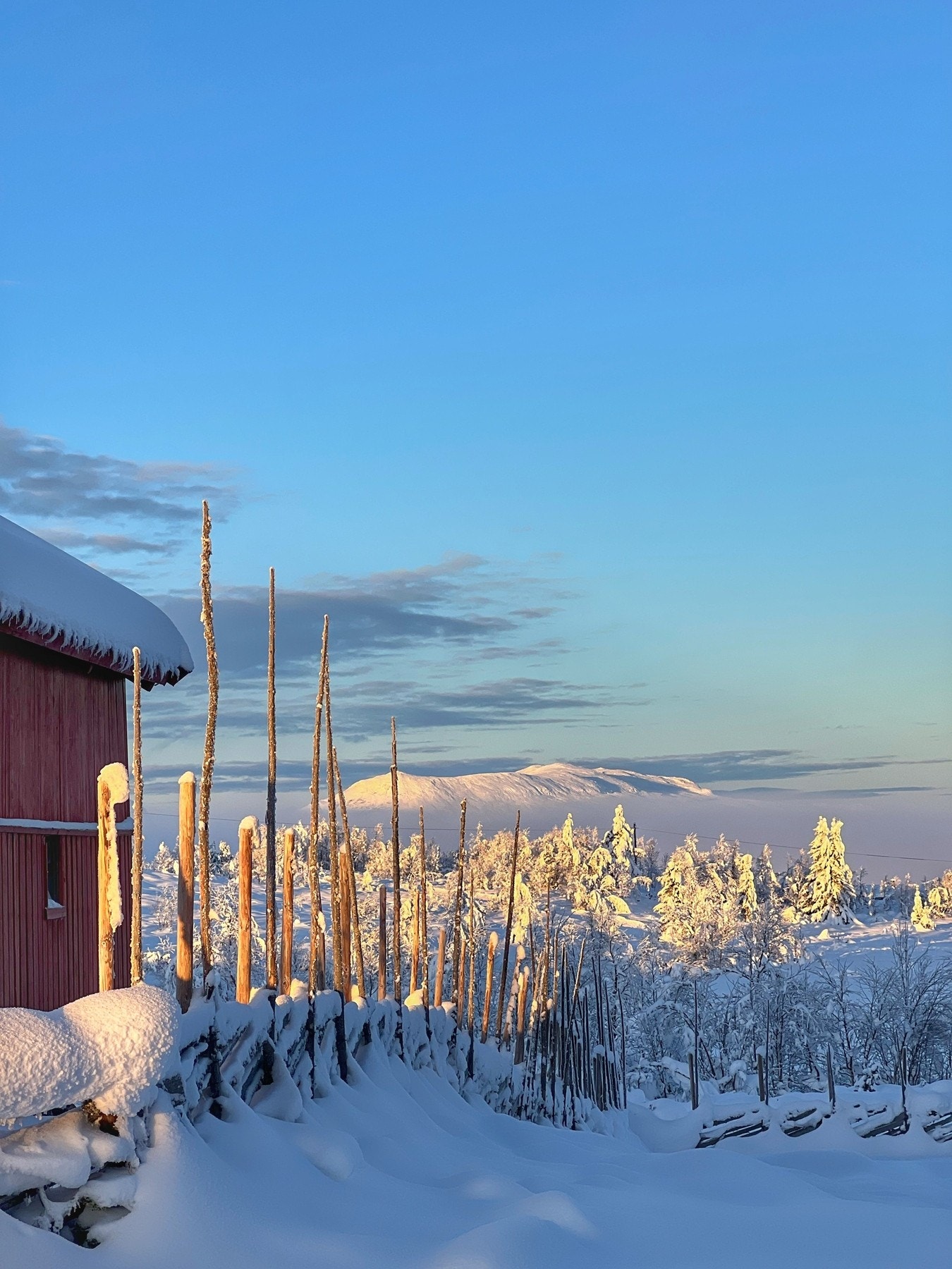 Bilde fra selgers arkiv Galleribilde