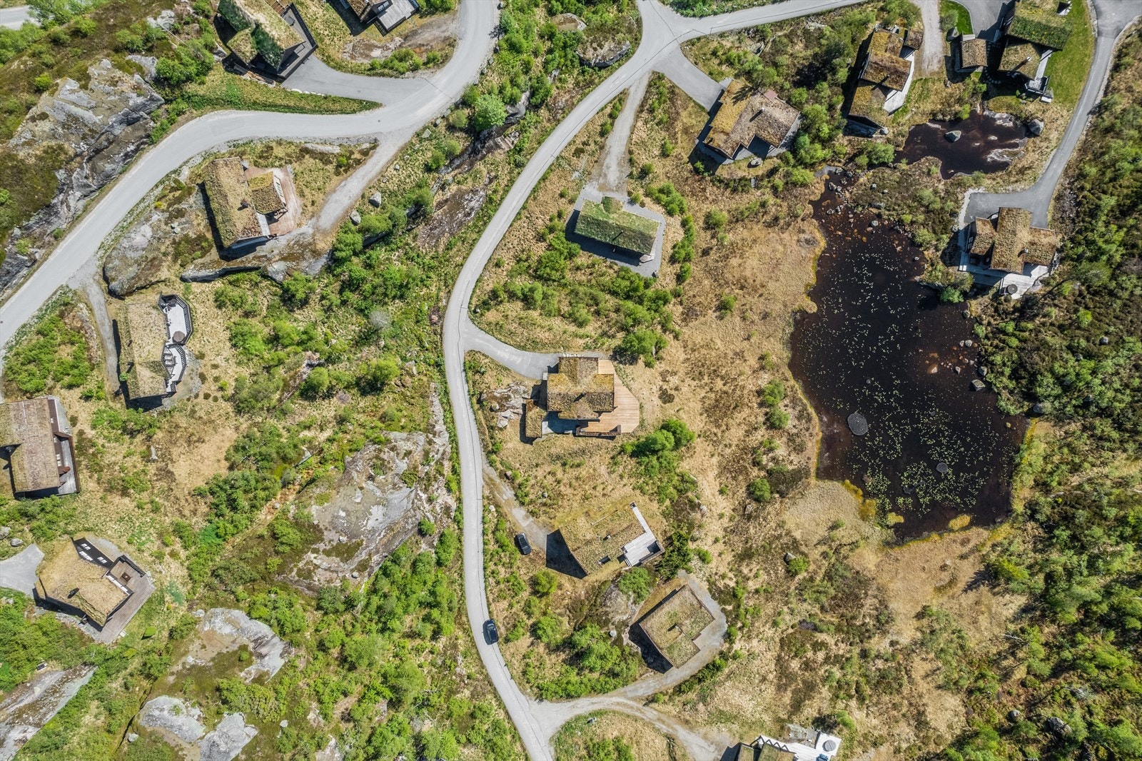 Masse boltreplass rundt hytten Galleribilde