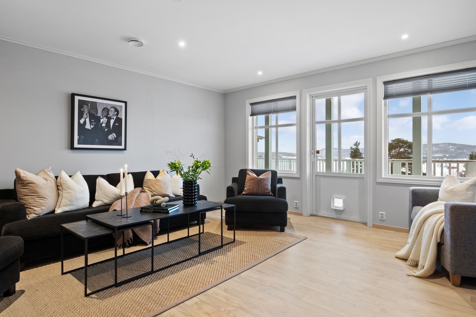 Utgang til stor terrasse og hage. Galleribilde