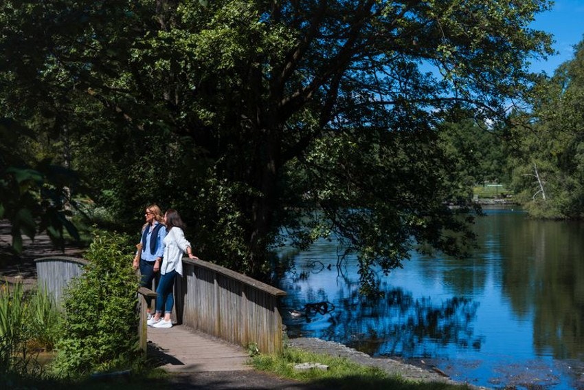 Det er ca.10 min på sykkelen til Bugårdsparken, Sandefjords hovedanlegg for idrett. Uteområdet her har andedam, opplyste turløyper og gressletter. Galleribilde
